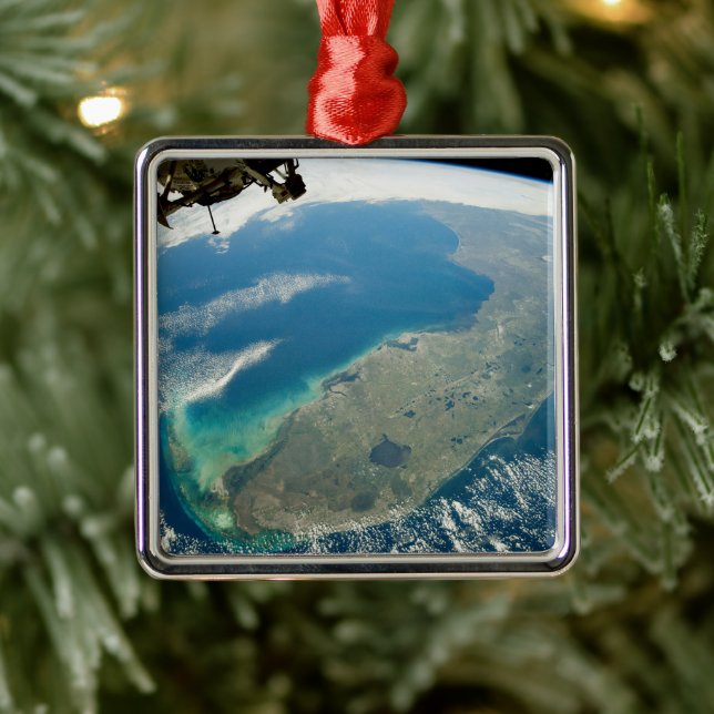 An Oblique Florida, On The Southeastern Coast Metal Tree Decoration (Tree)