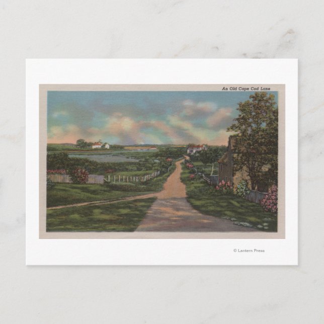 An Old Cape Cod Lane View Postcard (Front)