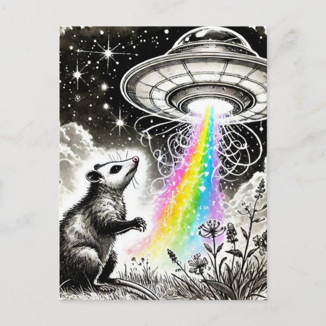 An opossum and a UFO Postcard (Front)