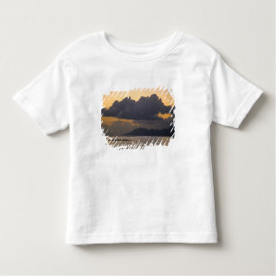 An outrigger canoe team practices off the coast toddler T-Shirt