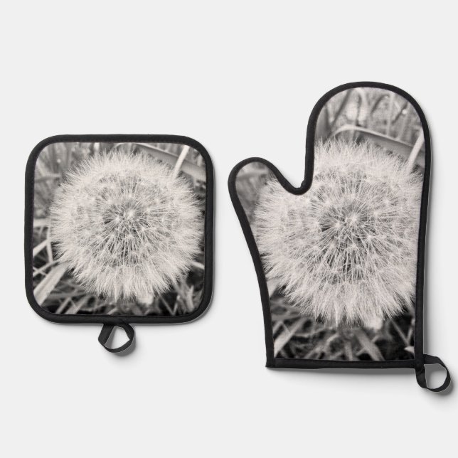 An Oven Mitt & Pot Holder Set (Front)