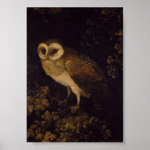 An Owl by Moses Haughton the Elder Poster