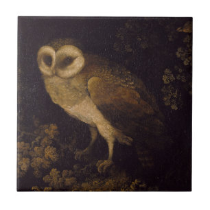 An Owl by Moses Haughton the Elder Tile