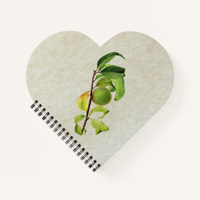 An Unripe Peach Personalised Composition Notebook (Front)