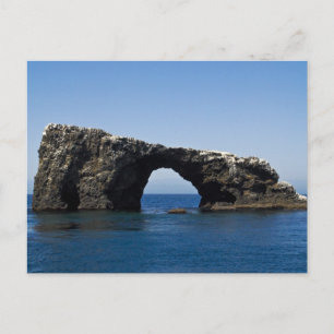 Anacapa Island Arch Rock Postcard