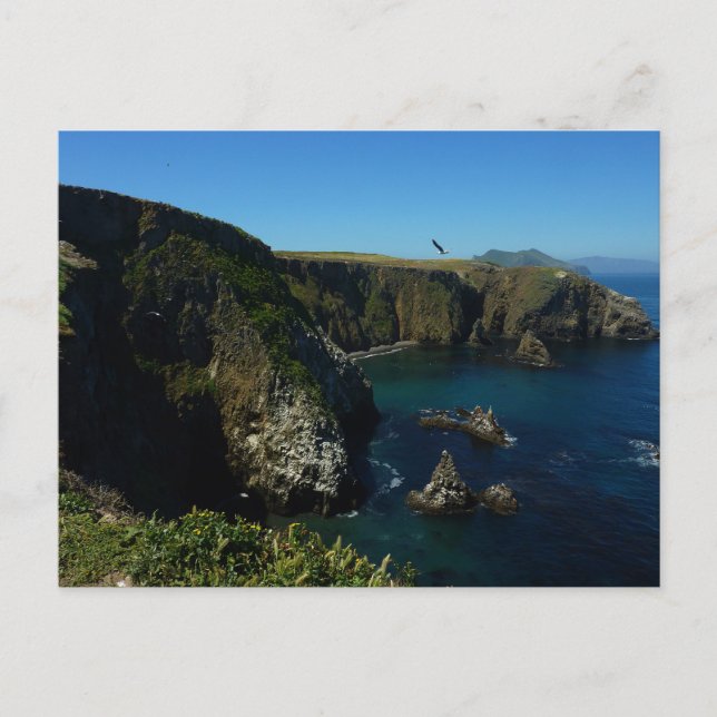 Anacapa Island at Channel Islands National Park Postcard (Front)