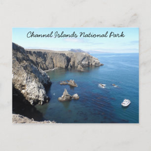 Anacapa Island- Channel Islands National Park Postcard