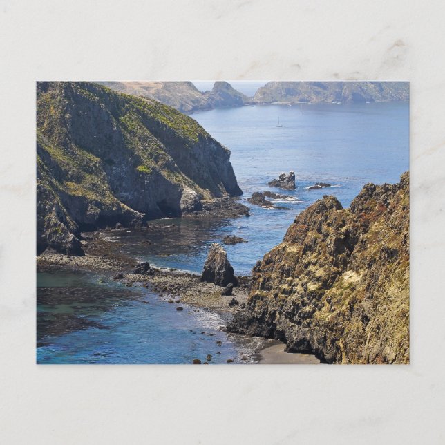 Anacapa Island Postcard (Front)