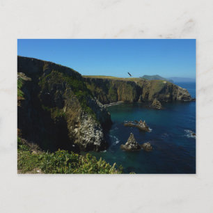 Anacapa Island Scenic View at Channel Islands Postcard
