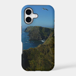 Anacapa's Inspiration Point I in Channel Islands
