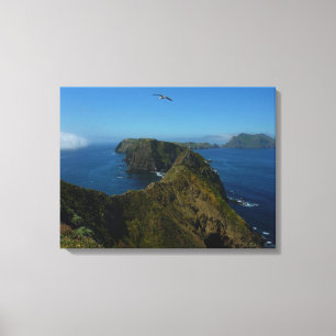 Anacapa's Inspiration Point I in Channel Islands Canvas Print