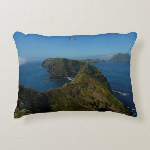 Anacapa's Inspiration Point I in Channel Islands Decorative Cushion