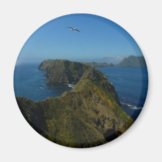 Anacapa's Inspiration Point I in Channel Islands Magnet