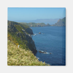 Anacapa's Inspiration Point II at Channel Islands Magnet