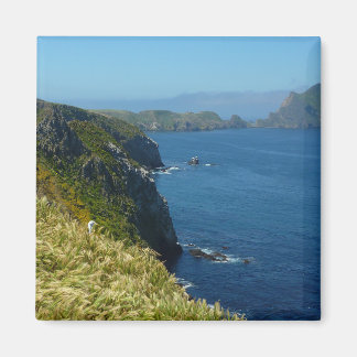 Anacapa's Inspiration Point II at Channel Islands Magnet