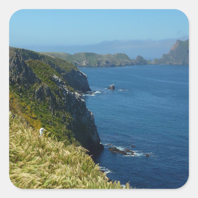Anacapa's Inspiration Point II at Channel Islands Square Sticker (Front)