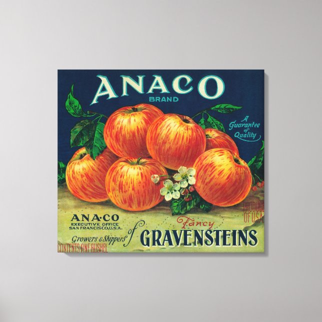 Anaco Apple Crate Label Canvas Print (Front)