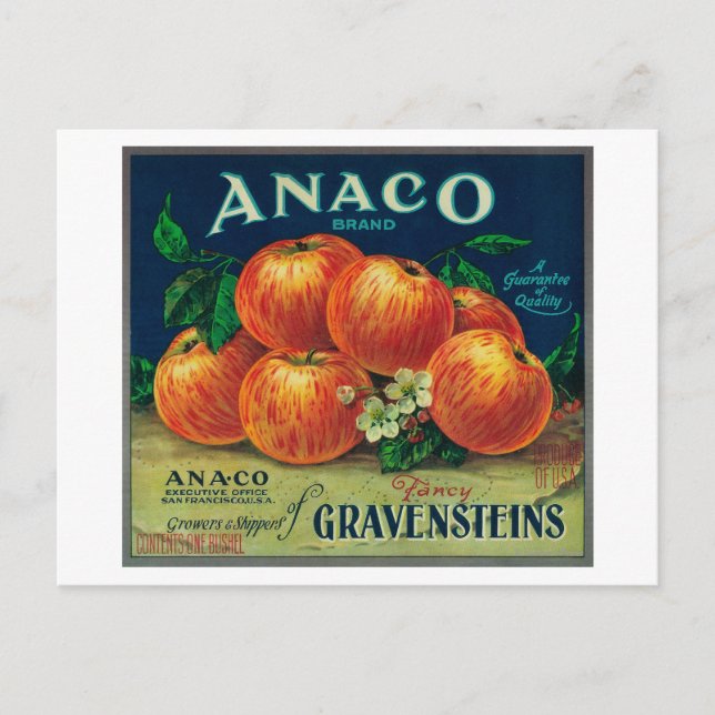 Anaco Apple Crate Label Postcard (Front)