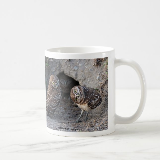 Anaholus owl coffee mug (Right)