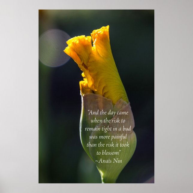 Anais Nin Quote Inspirational Poster (Front)