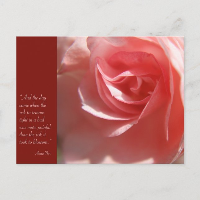 Anais Nin Quote Postcard in Pink (Front)