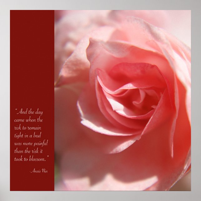 Anais Nin Quote Poster in Pink (Front)
