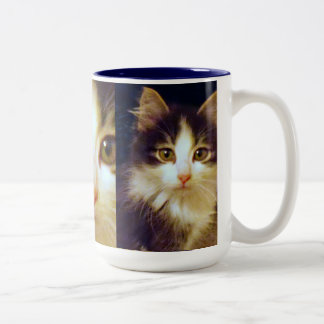 Anakin Two Legged Cat, Cute Kitten Mug, Close Up Two-Tone Coffee Mug