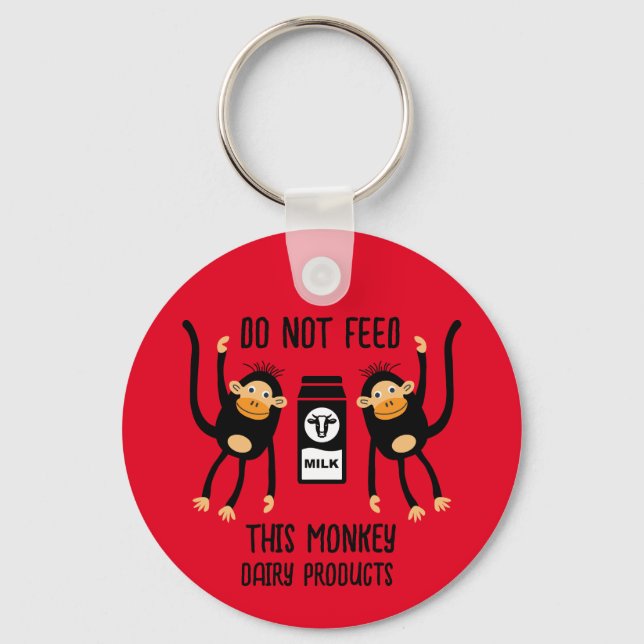 Anaphylaxis Kids Allergic Warnings Key Ring (Front)