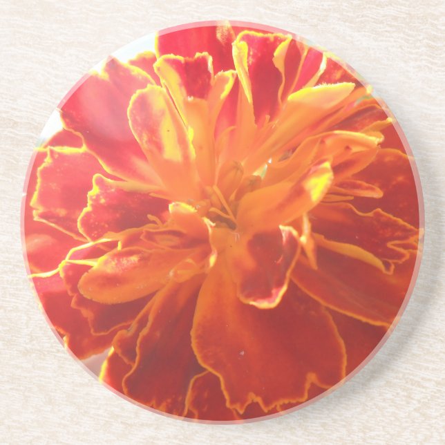 Anastaise Coaster (Front)