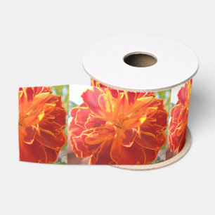 Anastaise Grosgrain Ribbon