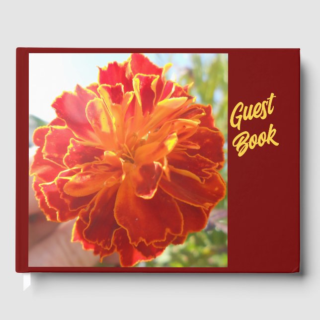 Anastaise Guest Book (Front)