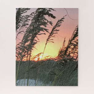 Anastasia Sea Oat Sunset in Florida Jigsaw Puzzle