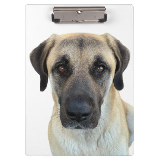 Anatolian Shepherd Clipboard