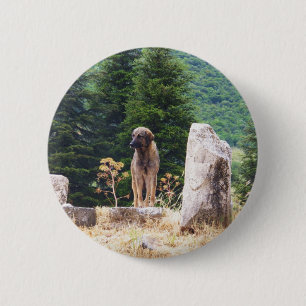 Anatolian Shepherd Dog - Ephesus, Turkey 6 Cm Round Badge