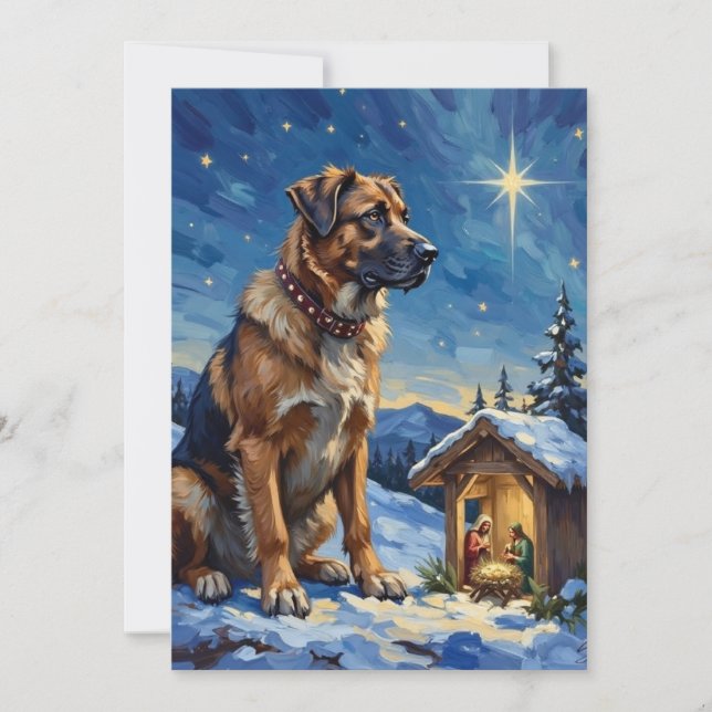 Anatolian Shepherd Dog Guarding Nativity Scene Holiday Card (Front)