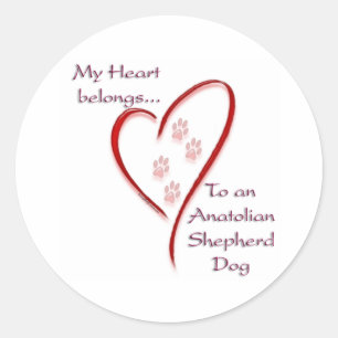 Anatolian Shepherd Dog Heart Belongs Classic Round Sticker