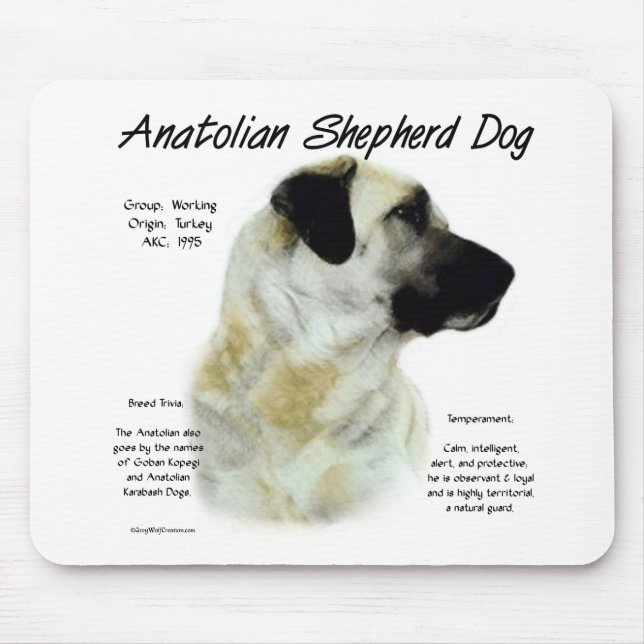 Anatolian Shepherd Dog History  Mouse Pad (Front)