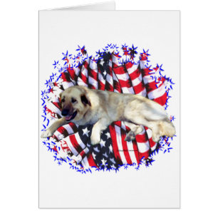 Anatolian Shepherd Dog Patriot