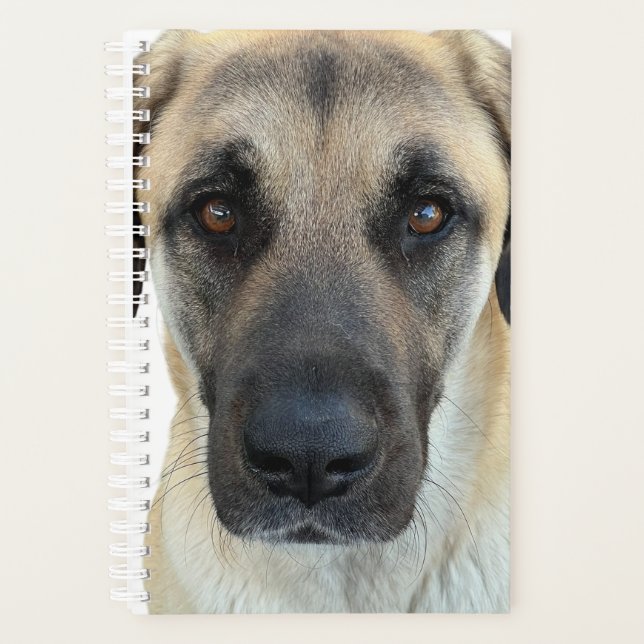 Anatolian Shepherd Dog Planner (Front)