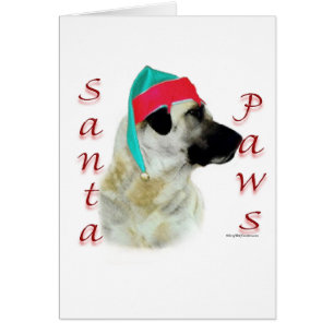 Anatolian Shepherd Dog Santa Paws