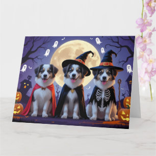 Anatolian Shepherd  Dogs Pumpkin Halloween Funny  Card