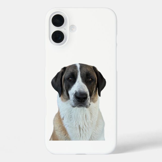 Anatolian Shepherd iPhone/iPad Case (Back)