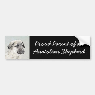 Anatolian Shepherd Painting - Original Dog Art Bumper Sticker