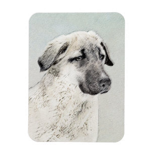 Anatolian Shepherd Painting - Original Dog Art Magnet