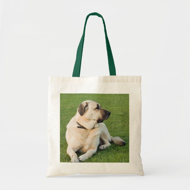 Anatolian Shepherd Relaxing in Grass Tote Bag (Front)