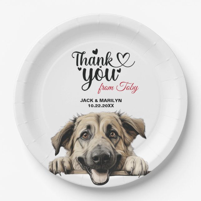 Anatolian Shepherd Wedding Reception Paper Plate (Front)