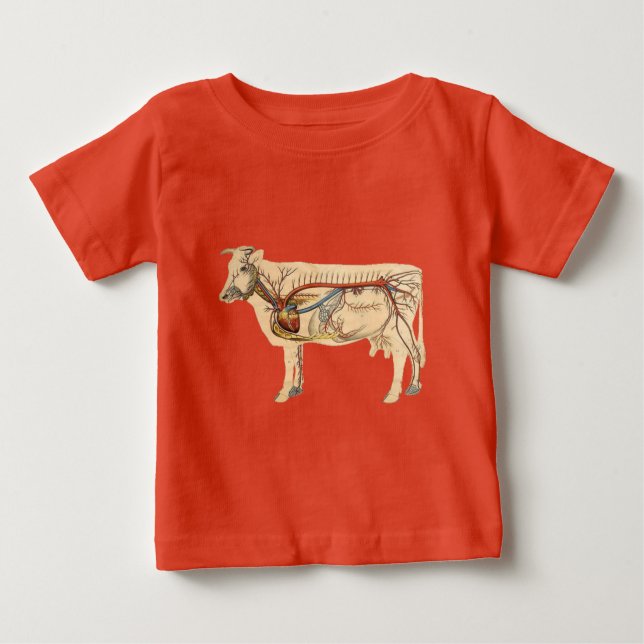 Anatomical Cute Cow Baby T-Shirt (Front)