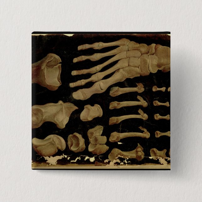 Anatomical drawing of the bones of the foot 15 cm square badge (Front)