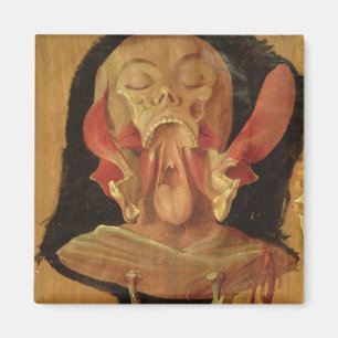 Anatomical drawing of the head magnet