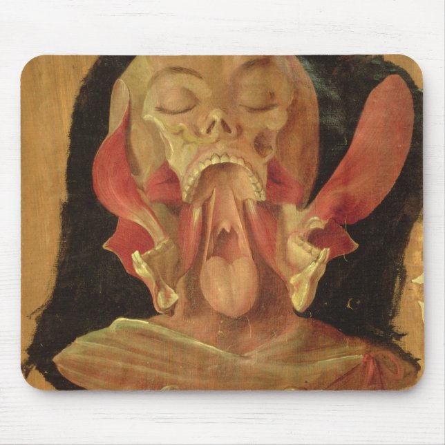 Anatomical drawing of the head mouse pad (Front)